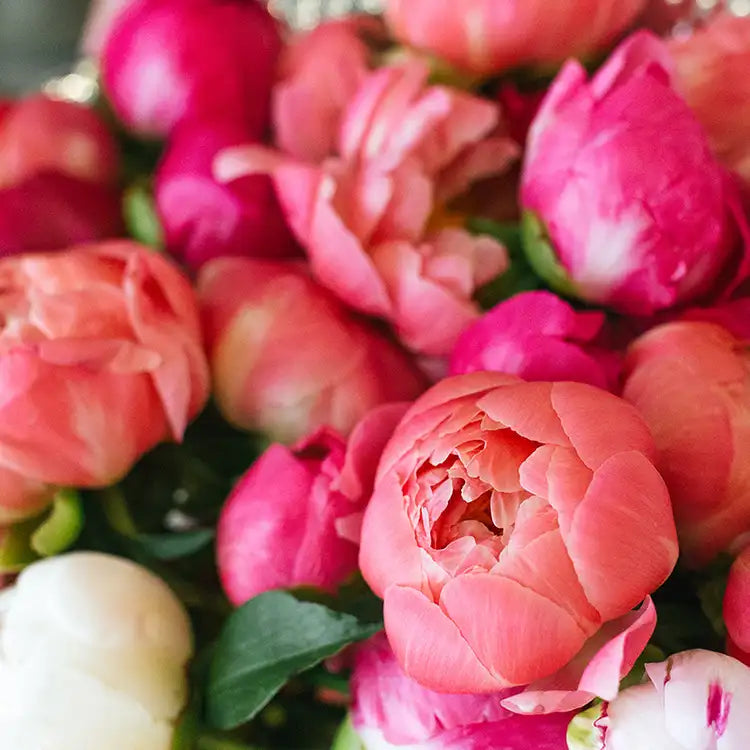 Peony + Cherry Blossoms / You Are Loved / With Love Always